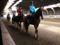 Manege Derby | Middelkerke Manege Derby | Middelkerke